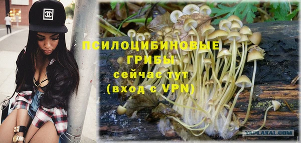 СК Алексеевка