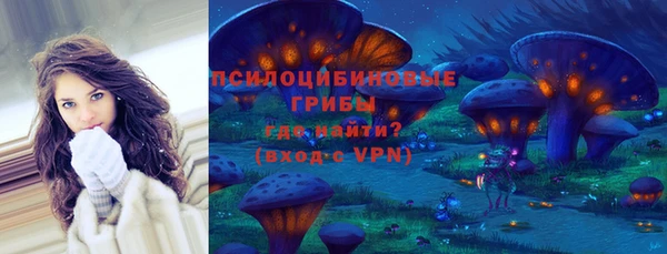 СК Алексеевка